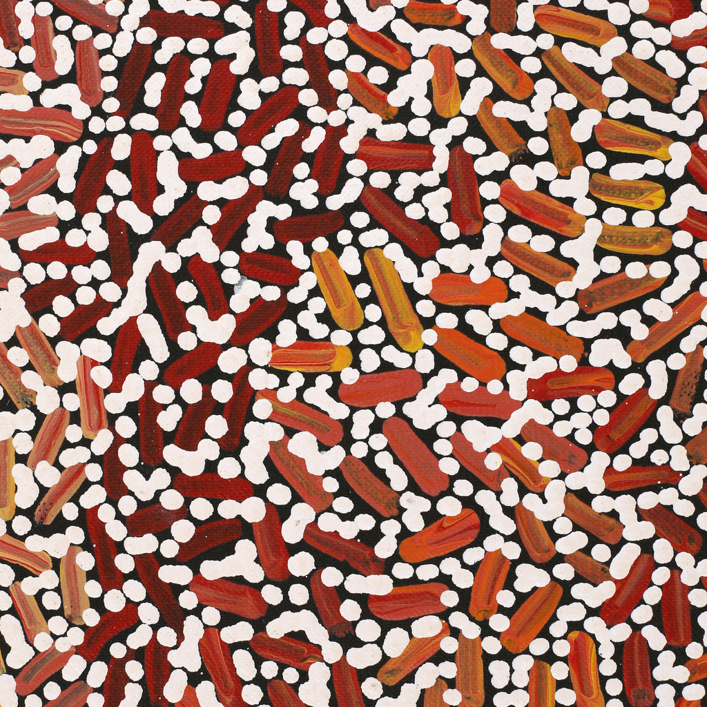 Aboriginal Artwork by Nathania Nangala Granites, Warlukurlangu Jukurrpa (Fire country Dreaming), 152x76cm - ART ARK®