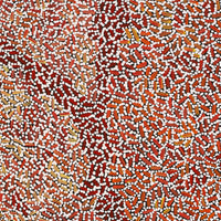 Aboriginal Artwork by Nathania Nangala Granites, Warlukurlangu Jukurrpa (Fire country Dreaming), 152x76cm