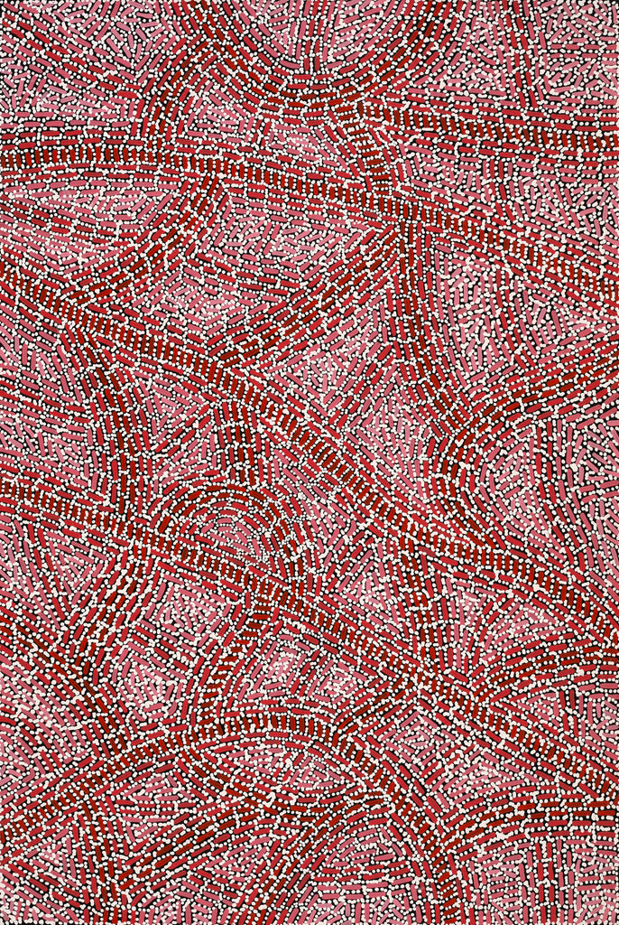 Aboriginal Art by Nathania Nangala Granites, Warlukurlangu Jukurrpa (Fire country Dreaming), 91x61cm - ART ARK®