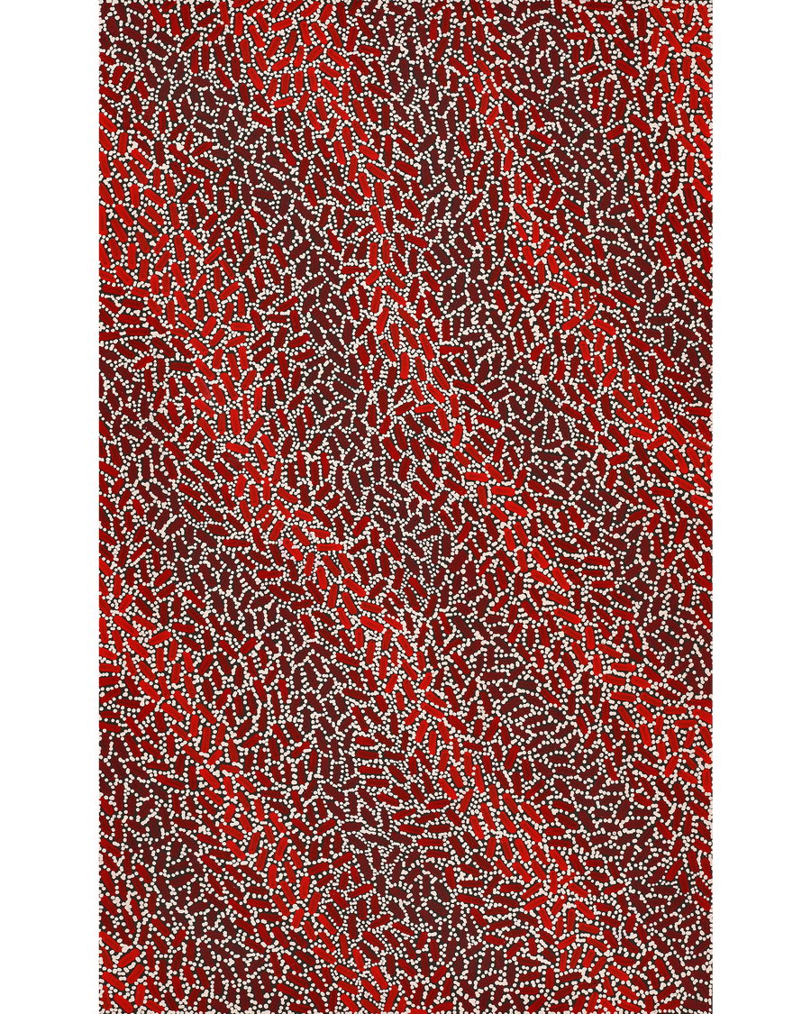 Aboriginal Artwork by Nathania Nangala Granites, Warlukurlangu Jukurrpa (Fire country Dreaming), 76x46cm