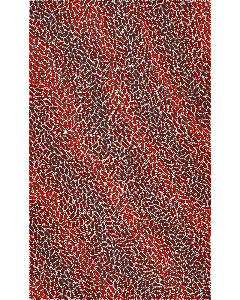 Aboriginal Artwork by Nathania Nangala Granites, Warlukurlangu Jukurrpa (Fire country Dreaming), 76x46cm