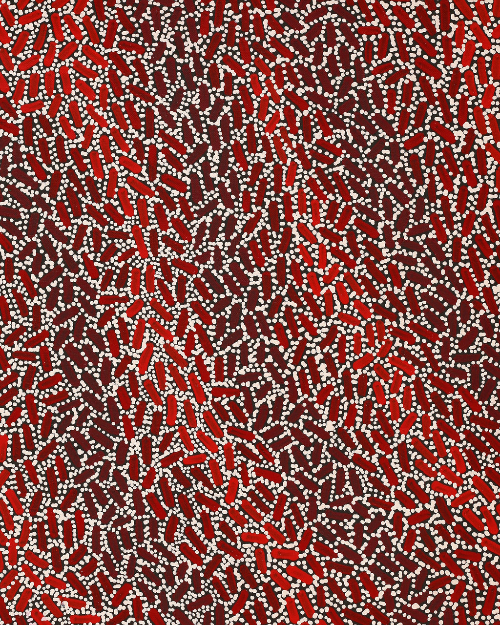 Aboriginal Artwork by Nathania Nangala Granites, Warlukurlangu Jukurrpa (Fire country Dreaming), 76x46cm