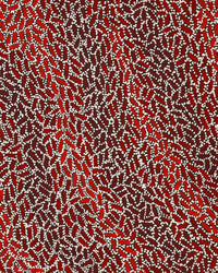 Aboriginal Artwork by Nathania Nangala Granites, Warlukurlangu Jukurrpa (Fire country Dreaming), 76x46cm