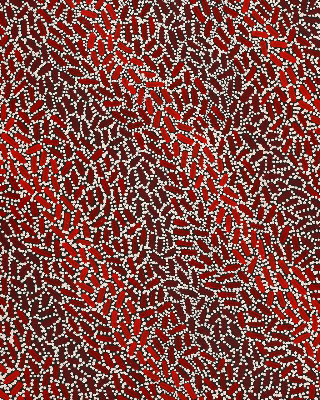 Aboriginal Artwork by Nathania Nangala Granites, Warlukurlangu Jukurrpa (Fire country Dreaming), 76x46cm