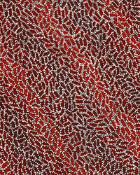 Aboriginal Artwork by Nathania Nangala Granites, Warlukurlangu Jukurrpa (Fire country Dreaming), 76x46cm