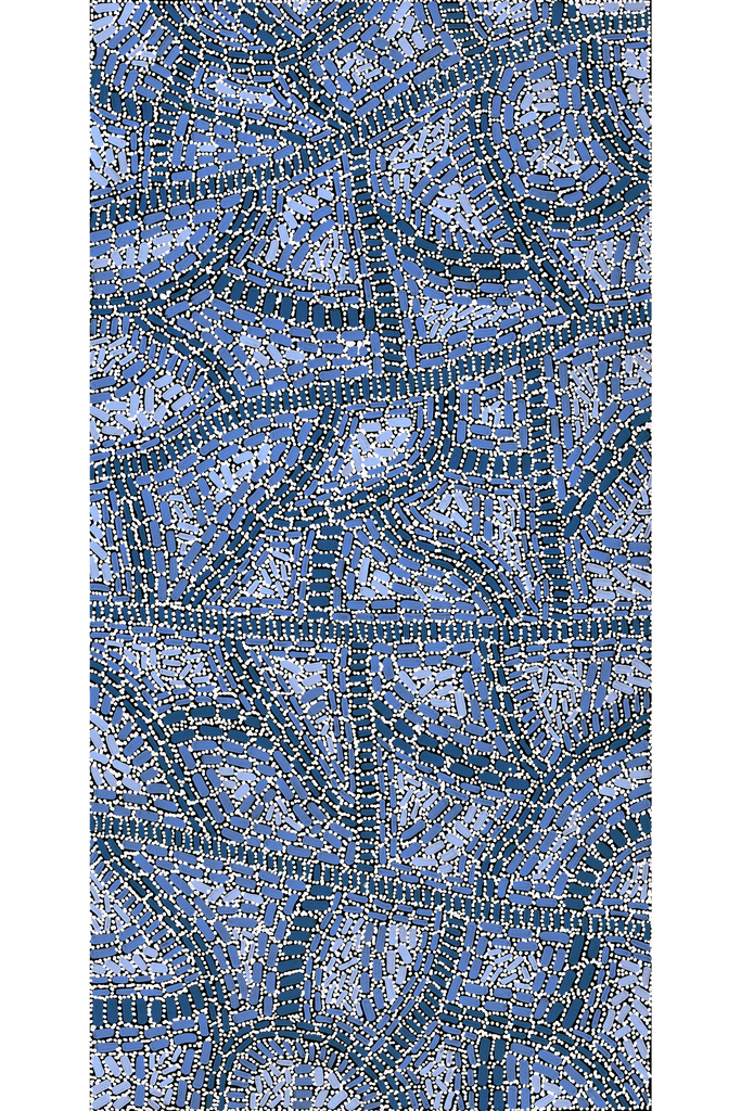 Aboriginal Artwork by Nathania Nangala Granites, Warlukurlangu Jukurrpa (Fire country Dreaming), 91x46cm