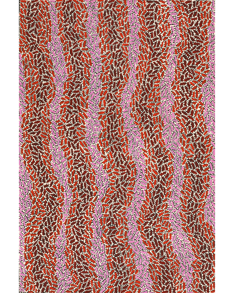 Aboriginal Artwork by Nathania Nangala Granites, Warlukurlangu Jukurrpa (Fire country Dreaming), 91x61cm