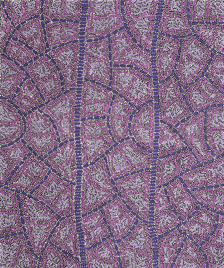 Aboriginal Artwork by Nathania Nangala Granites, Warlukurlangu Jukurrpa (Fire country Dreaming), 91x76cm