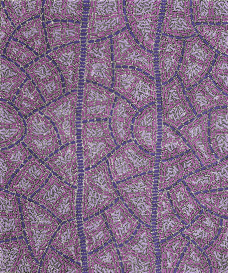 Aboriginal Artwork by Nathania Nangala Granites, Warlukurlangu Jukurrpa (Fire country Dreaming), 91x76cm