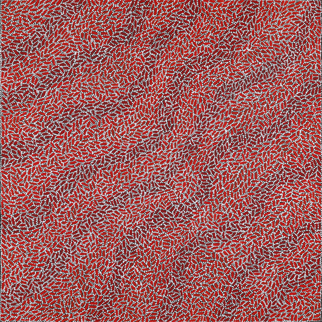 Aboriginal Artwork by Nathania Nangala Granites, Warlukurlangu Jukurrpa (Fire country Dreaming), 91x91cm