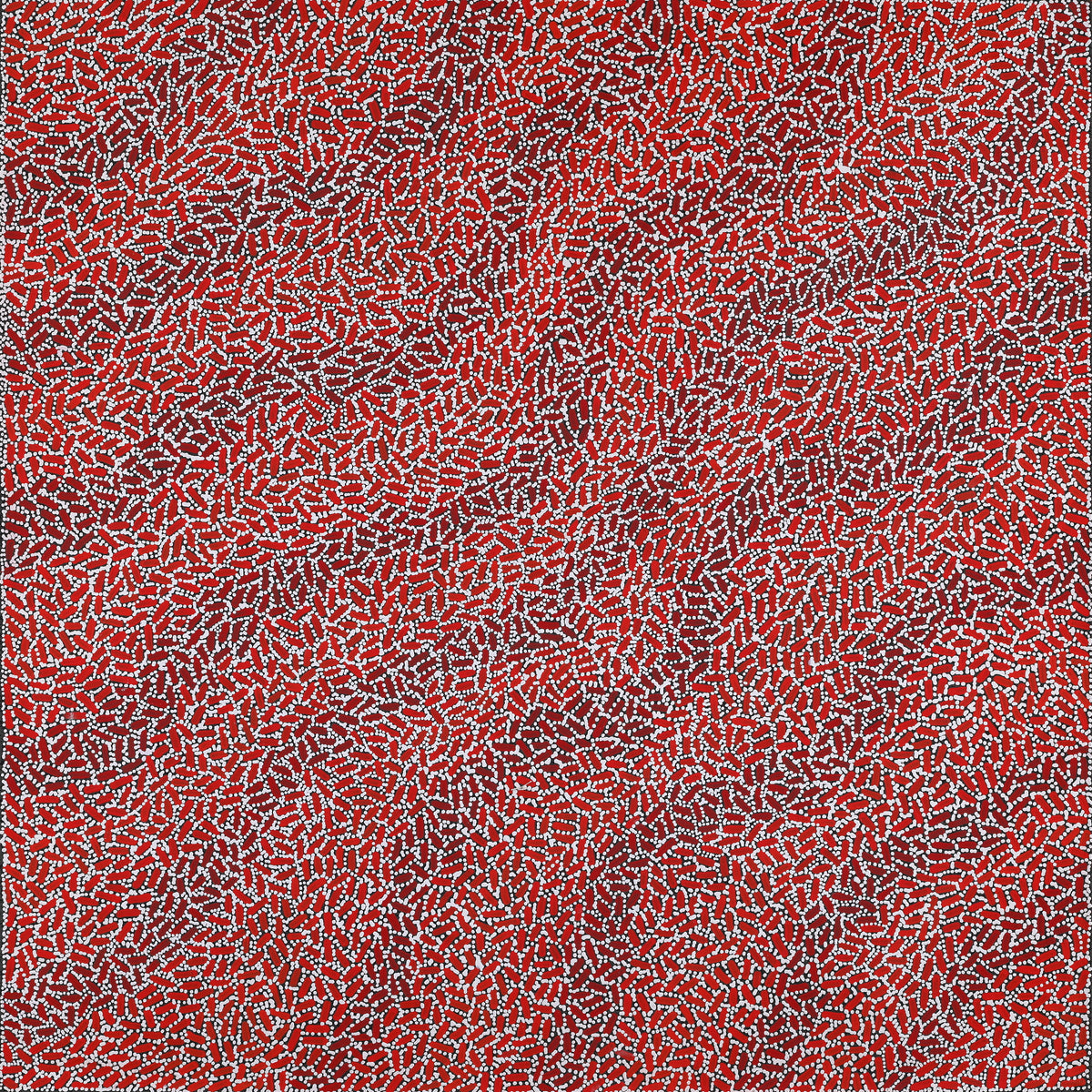 Aboriginal Artwork by Nathania Nangala Granites, Warlukurlangu Jukurrpa (Fire country Dreaming), 91x91cm
