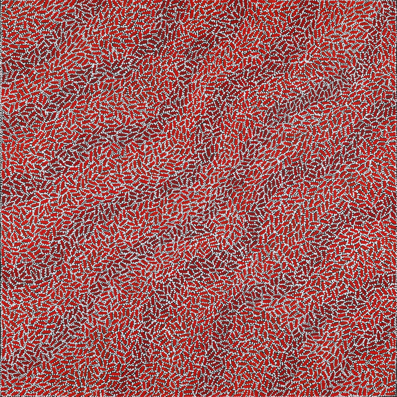 Aboriginal Artwork by Nathania Nangala Granites, Warlukurlangu Jukurrpa (Fire country Dreaming), 91x91cm
