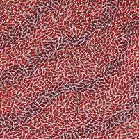 Aboriginal Artwork by Nathania Nangala Granites, Warlukurlangu Jukurrpa (Fire country Dreaming), 91x91cm
