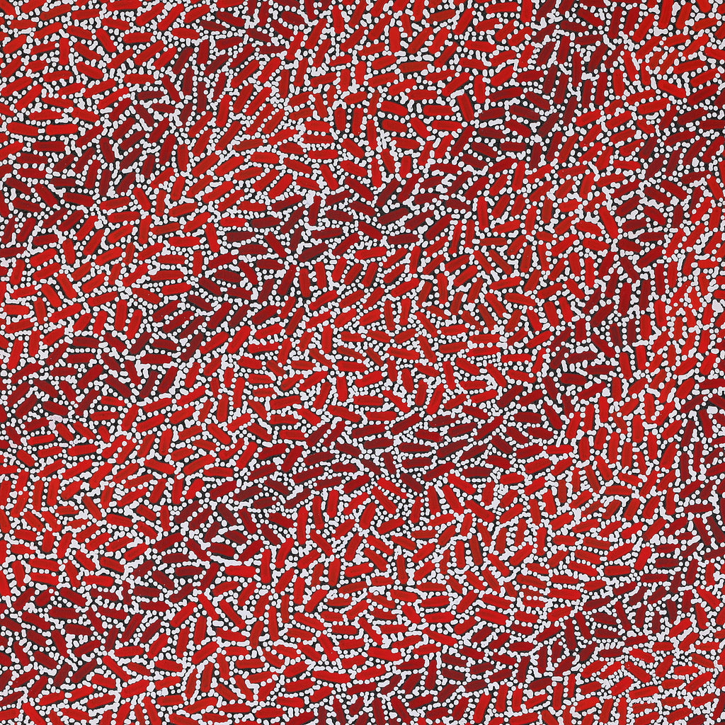 Aboriginal Artwork by Nathania Nangala Granites, Warlukurlangu Jukurrpa (Fire country Dreaming), 91x91cm