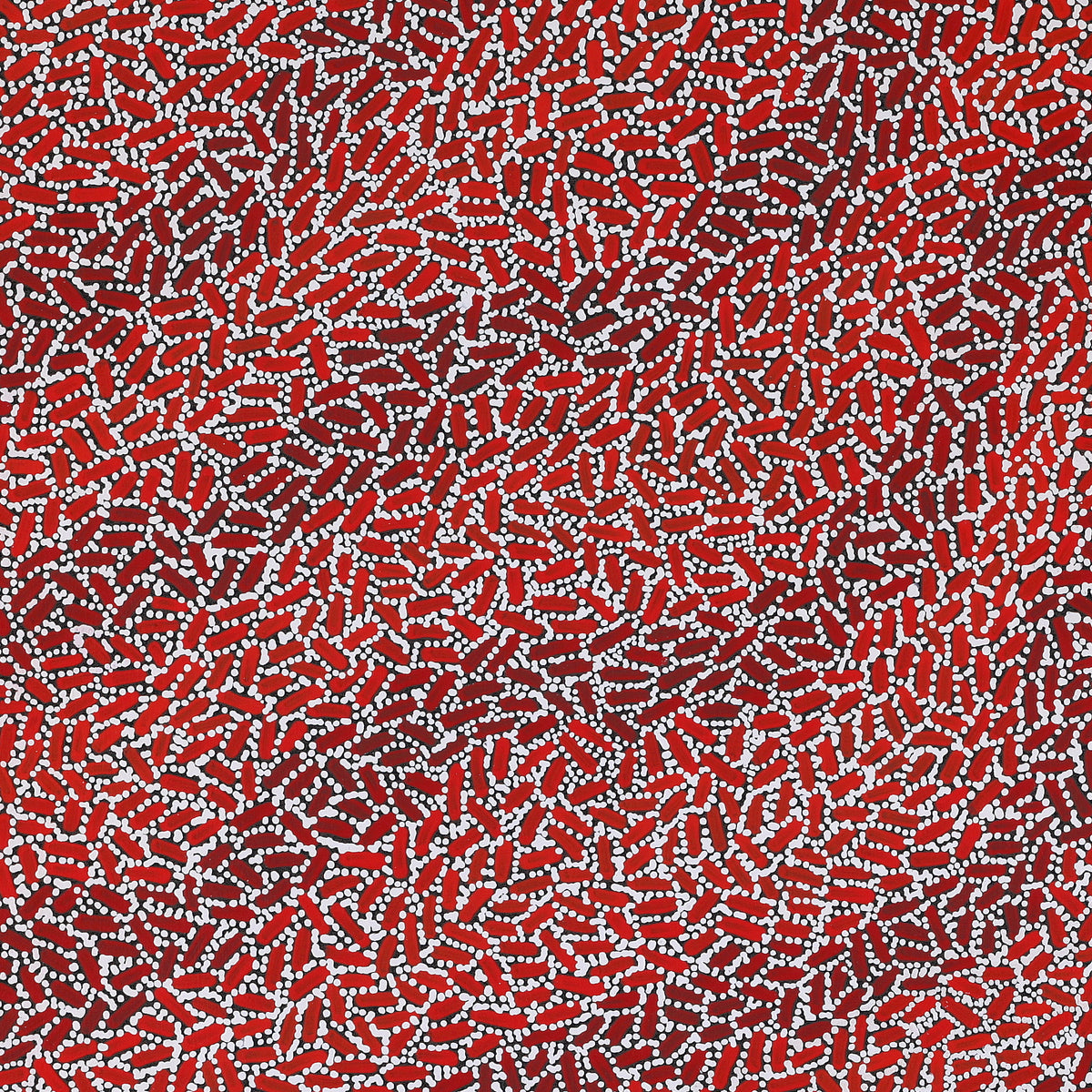 Aboriginal Artwork by Nathania Nangala Granites, Warlukurlangu Jukurrpa (Fire country Dreaming), 91x91cm