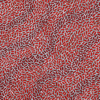 Aboriginal Artwork by Nathania Nangala Granites, Warlukurlangu Jukurrpa (Fire country Dreaming), 91x91cm