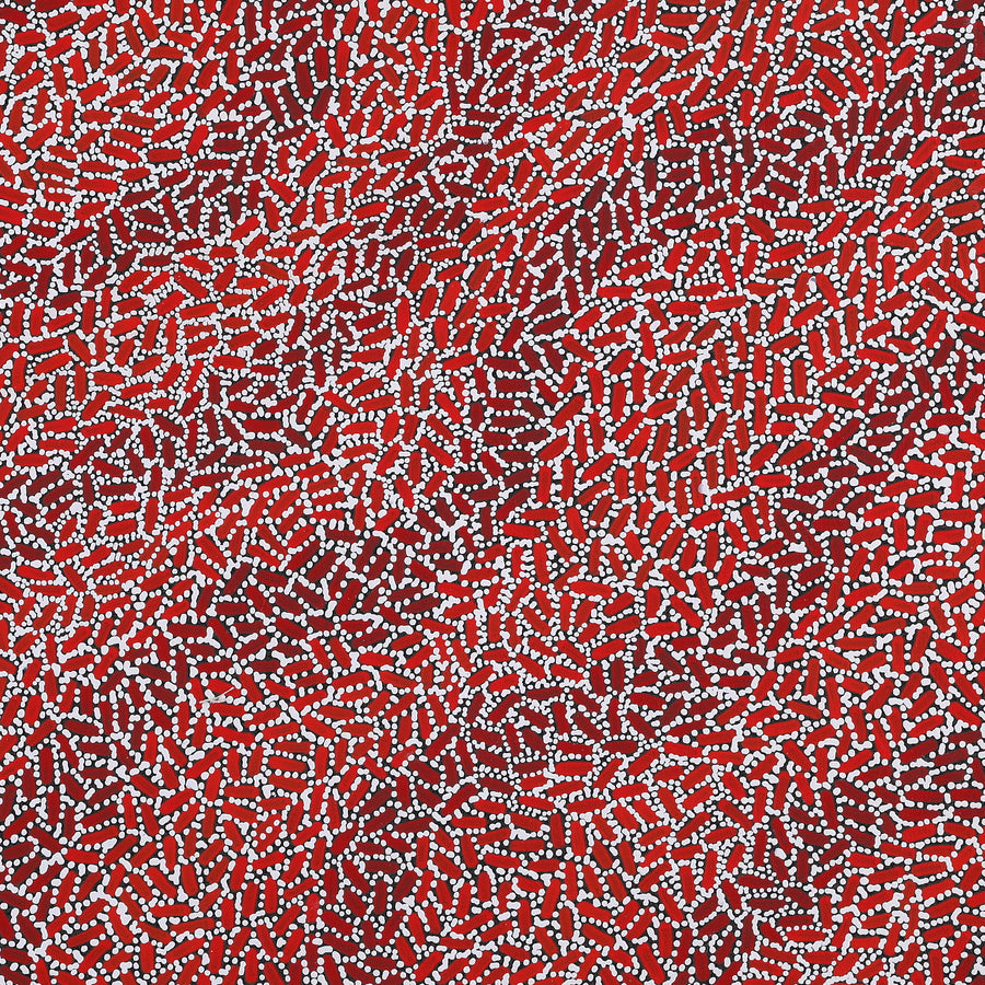 Aboriginal Artwork by Nathania Nangala Granites, Warlukurlangu Jukurrpa (Fire country Dreaming), 91x91cm