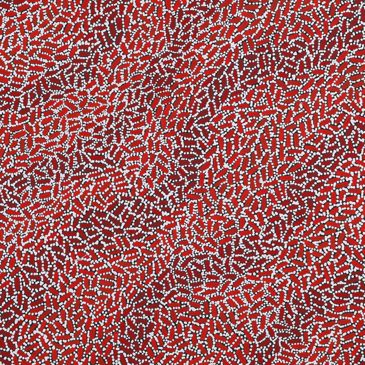 Aboriginal Artwork by Nathania Nangala Granites, Warlukurlangu Jukurrpa (Fire country Dreaming), 91x91cm