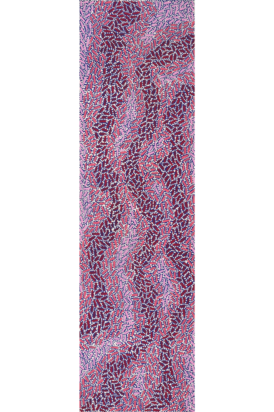 Aboriginal Artwork by Nathania Nangala Granites, Warlukurlangu Jukurrpa (Fire country Dreaming), 107x30cm