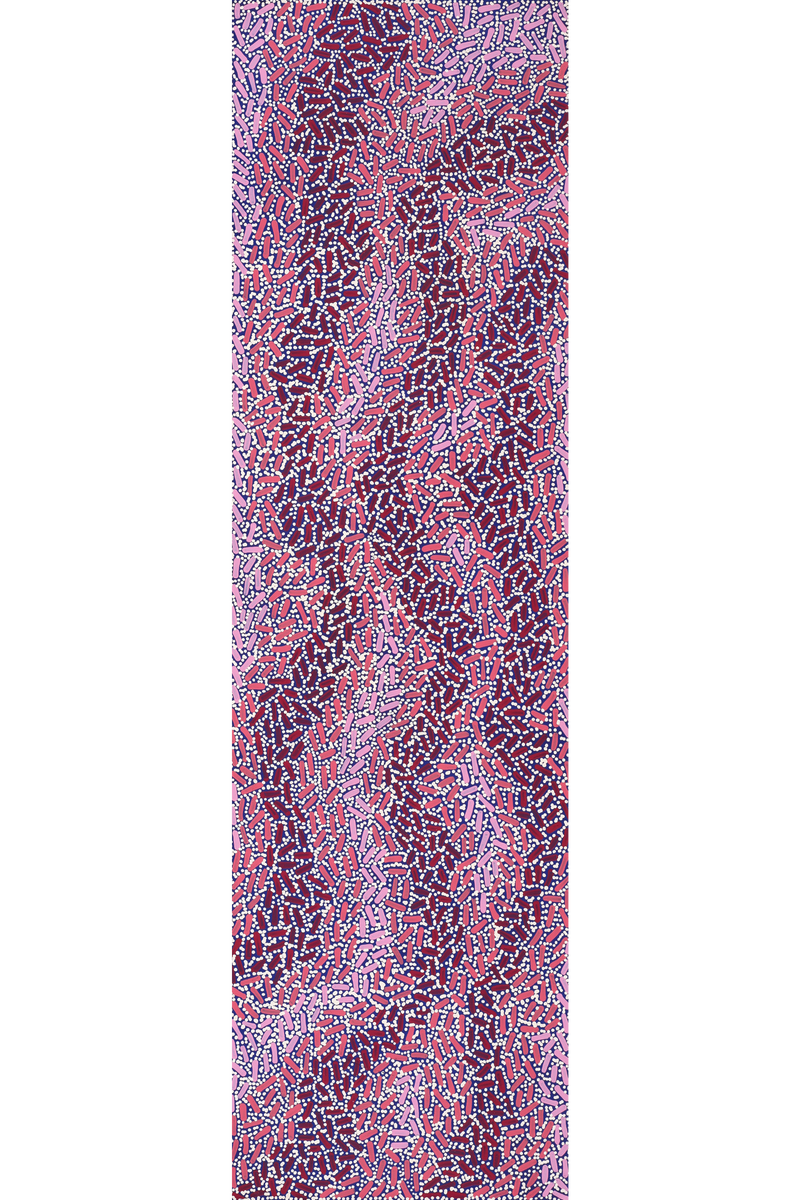 Aboriginal Art by Nathania Nangala Granites, Warlukurlangu Jukurrpa (Fire country Dreaming), 107x30cm - ART ARK®