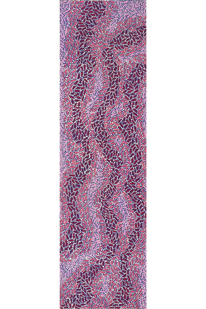 Aboriginal Art by Nathania Nangala Granites, Warlukurlangu Jukurrpa (Fire country Dreaming), 107x30cm - ART ARK®