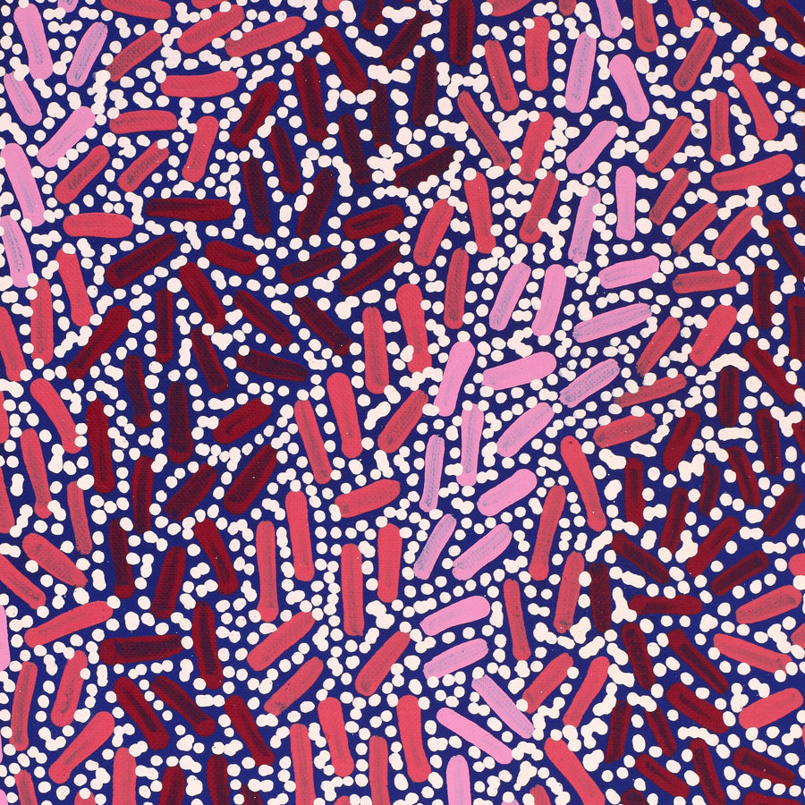 Aboriginal Artwork by Nathania Nangala Granites, Warlukurlangu Jukurrpa (Fire country Dreaming), 107x30cm