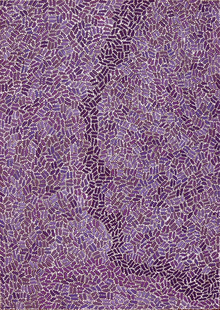 Aboriginal Artwork by Nathania Nangala Granites, Warlukurlangu Jukurrpa (Fire country Dreaming), 107x76cm