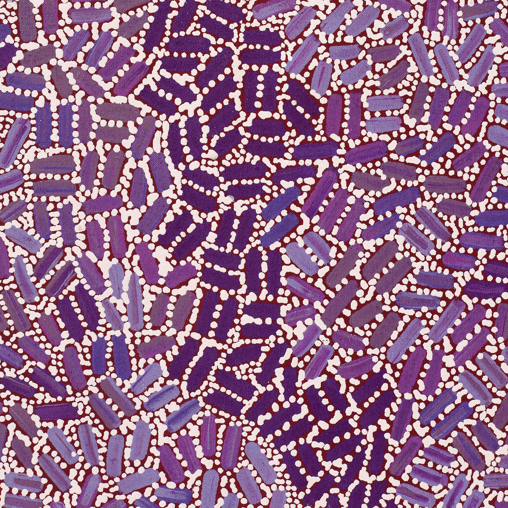 Aboriginal Artwork by Nathania Nangala Granites, Warlukurlangu Jukurrpa (Fire country Dreaming), 107x76cm