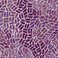 Aboriginal Artwork by Nathania Nangala Granites, Warlukurlangu Jukurrpa (Fire country Dreaming), 107x76cm