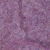 Aboriginal Artwork by Nathania Nangala Granites, Warlukurlangu Jukurrpa (Fire country Dreaming), 107x76cm