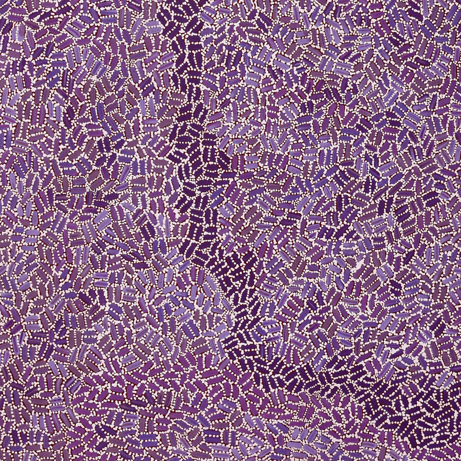 Aboriginal Artwork by Nathania Nangala Granites, Warlukurlangu Jukurrpa (Fire country Dreaming), 107x76cm
