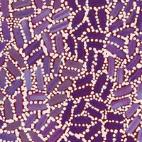 Aboriginal Artwork by Nathania Nangala Granites, Warlukurlangu Jukurrpa (Fire country Dreaming), 107x76cm
