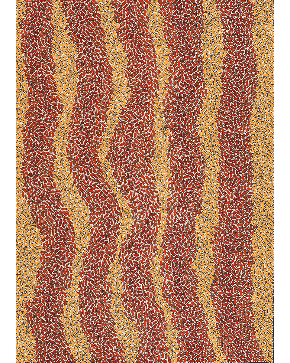 Aboriginal Artwork by Nathania Nangala Granites, Warlukurlangu Jukurrpa (Fire country Dreaming), 107x76cm