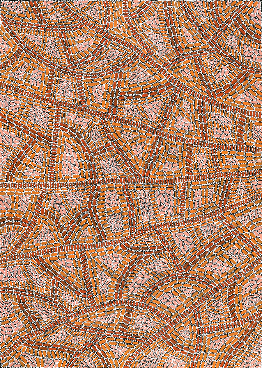 Aboriginal Artwork by Nathania Nangala Granites, Warlukurlangu Jukurrpa (Fire country Dreaming), 107x76cm