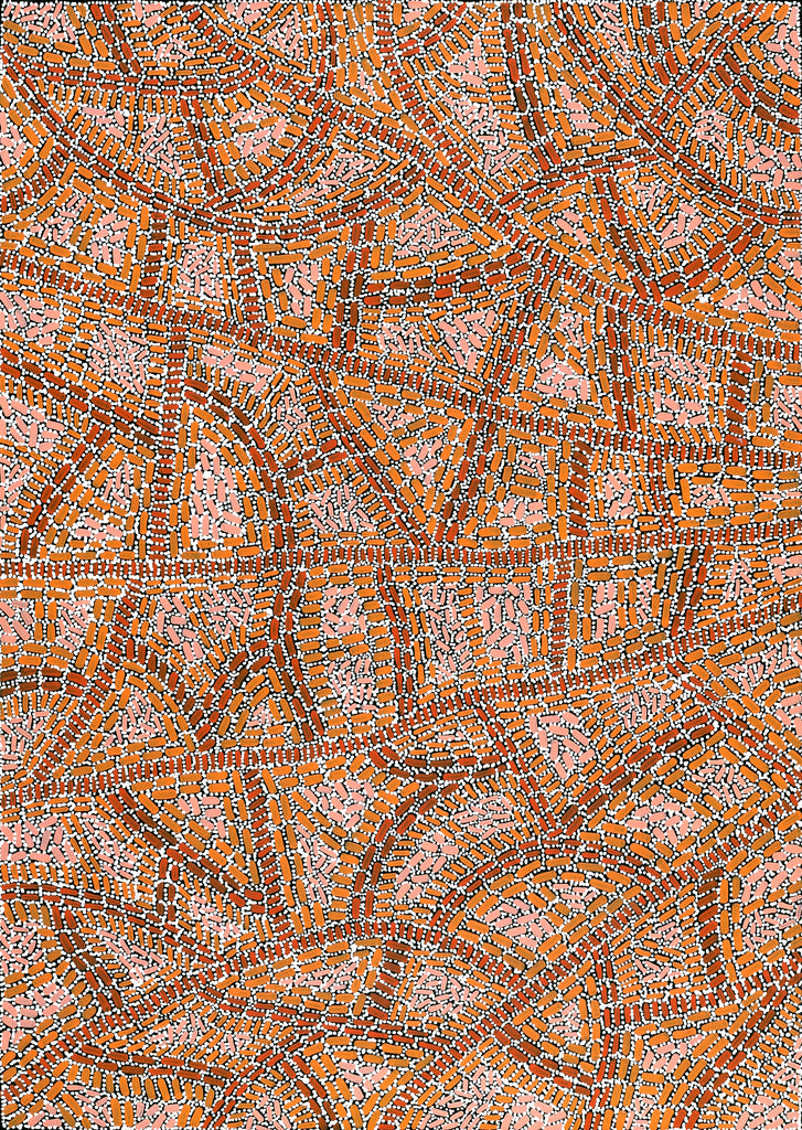 Aboriginal Artwork by Nathania Nangala Granites, Warlukurlangu Jukurrpa (Fire country Dreaming), 107x76cm