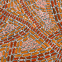 Aboriginal Artwork by Nathania Nangala Granites, Warlukurlangu Jukurrpa (Fire country Dreaming), 107x76cm