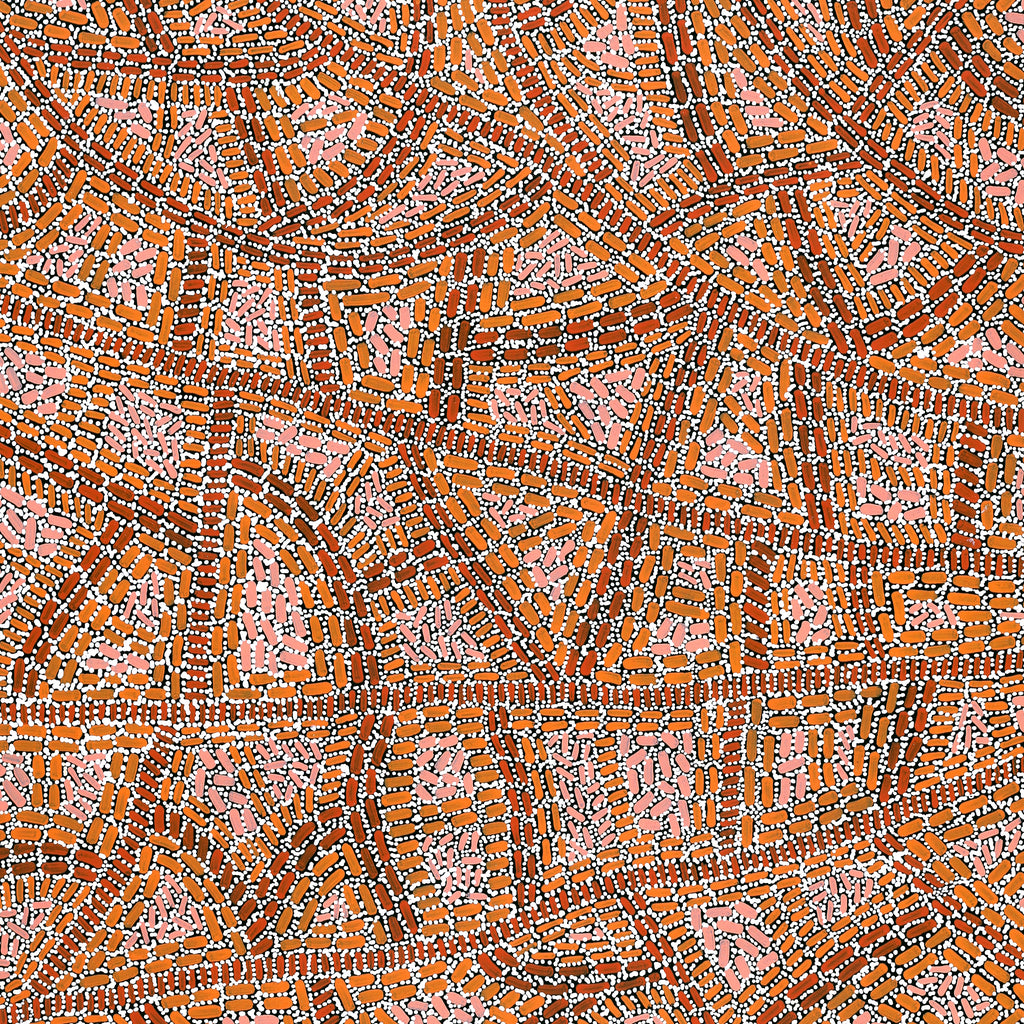 Aboriginal Artwork by Nathania Nangala Granites, Warlukurlangu Jukurrpa (Fire country Dreaming), 107x76cm