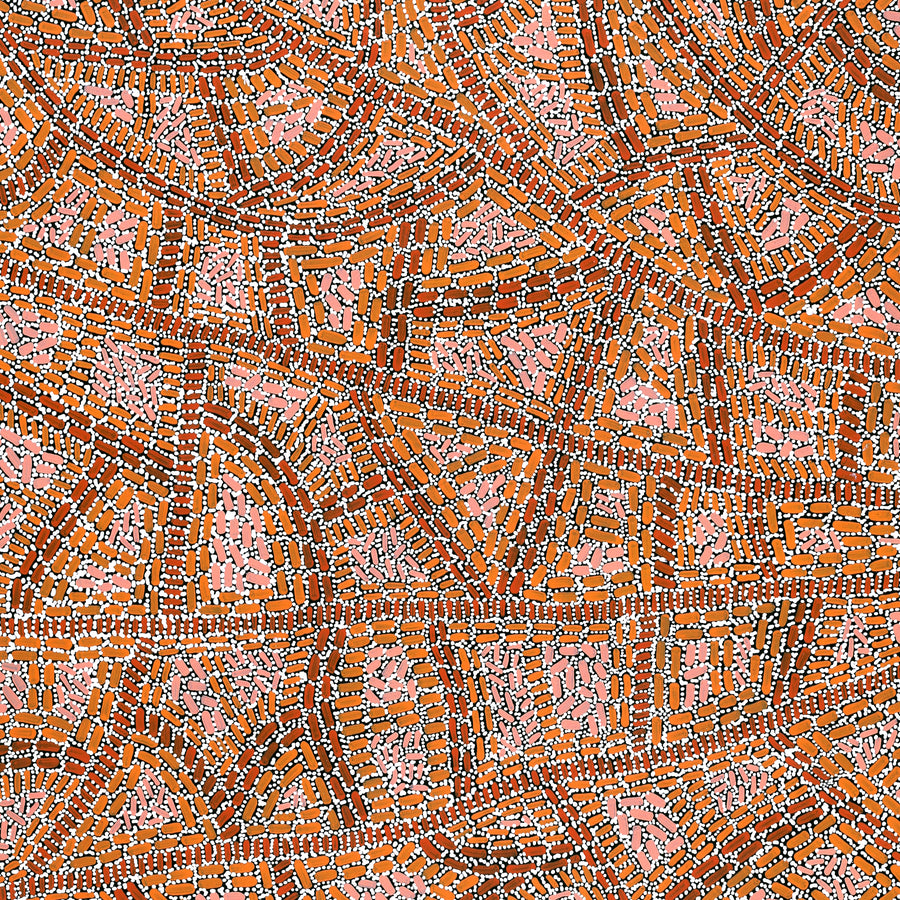 Aboriginal Artwork by Nathania Nangala Granites, Warlukurlangu Jukurrpa (Fire country Dreaming), 107x76cm