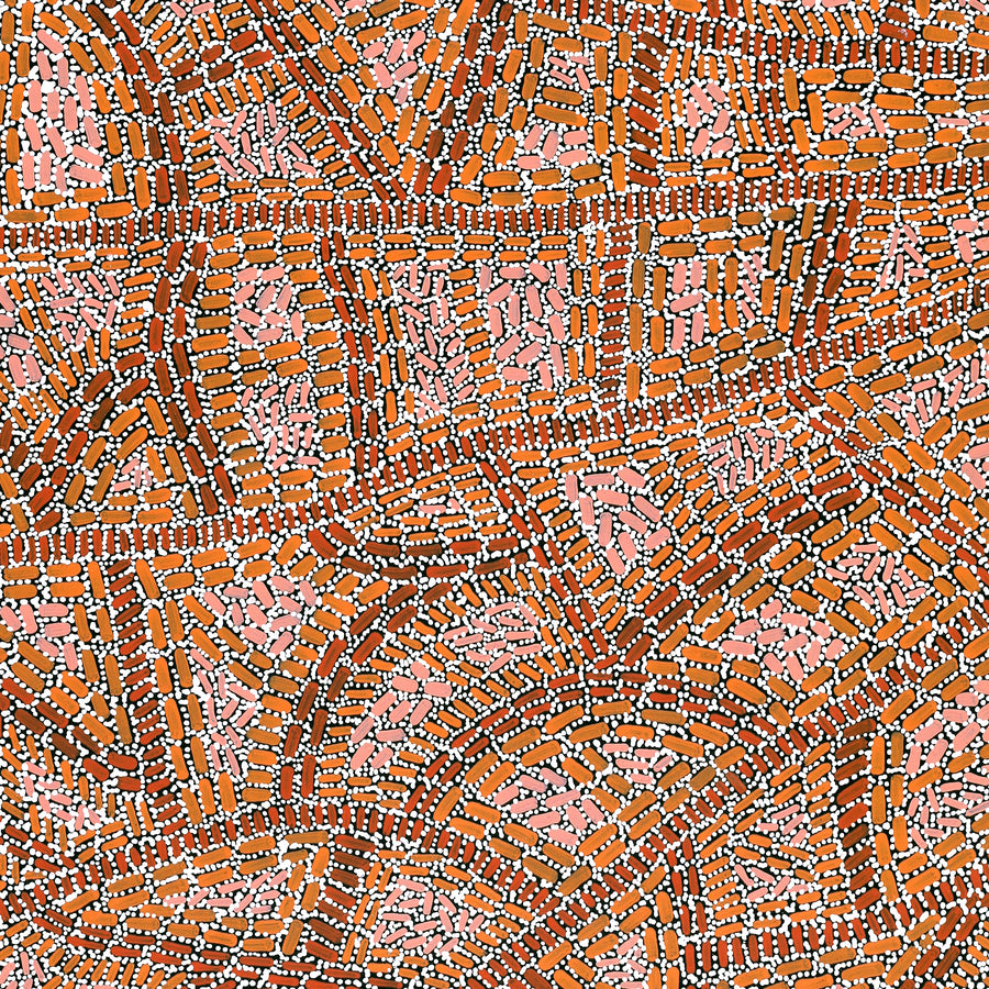 Aboriginal Artwork by Nathania Nangala Granites, Warlukurlangu Jukurrpa (Fire country Dreaming), 107x76cm