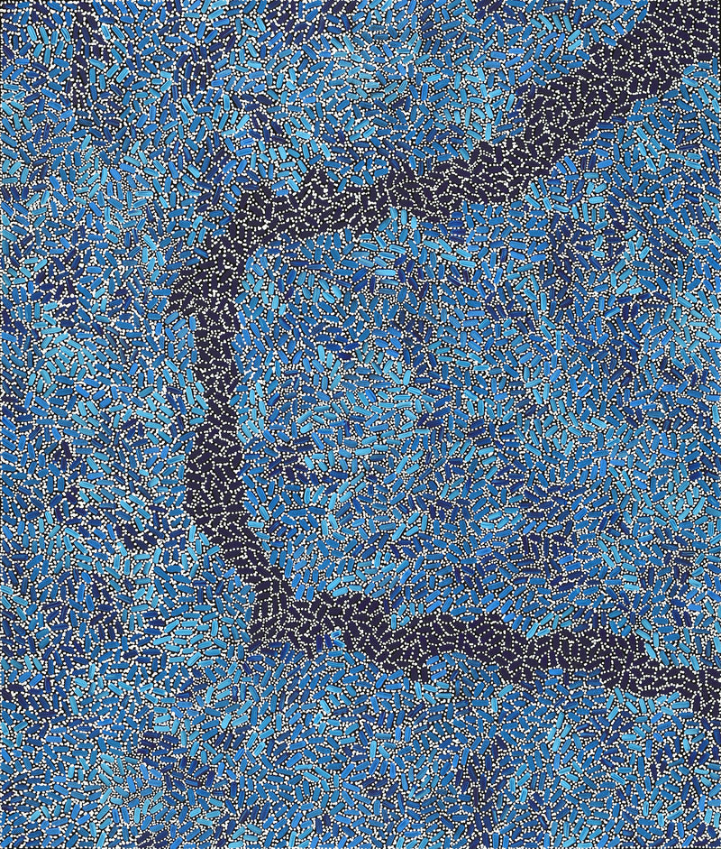 Aboriginal Artwork by Nathania Nangala Granites, Warlukurlangu Jukurrpa (Fire country Dreaming), 107x91cm