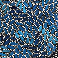 Aboriginal Artwork by Nathania Nangala Granites, Warlukurlangu Jukurrpa (Fire country Dreaming), 107x91cm