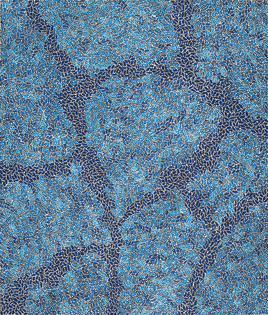 Aboriginal Artwork by Nathania Nangala Granites, Warlukurlangu Jukurrpa (Fire country Dreaming), 107x91cm