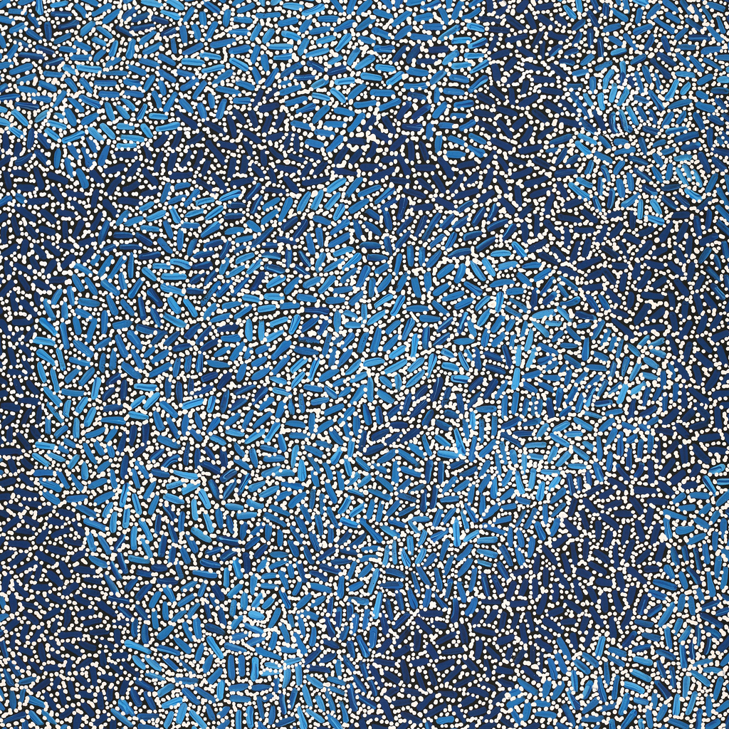 Aboriginal Artwork by Nathania Nangala Granites, Warlukurlangu Jukurrpa (Fire country Dreaming), 107x91cm