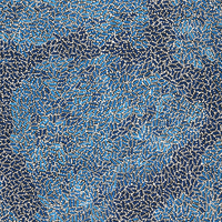 Aboriginal Artwork by Nathania Nangala Granites, Warlukurlangu Jukurrpa (Fire country Dreaming), 107x91cm