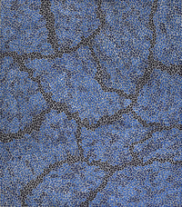 Aboriginal Artwork by Nathania Nangala Granites, Warlukurlangu Jukurrpa (Fire country Dreaming), 122x107cm