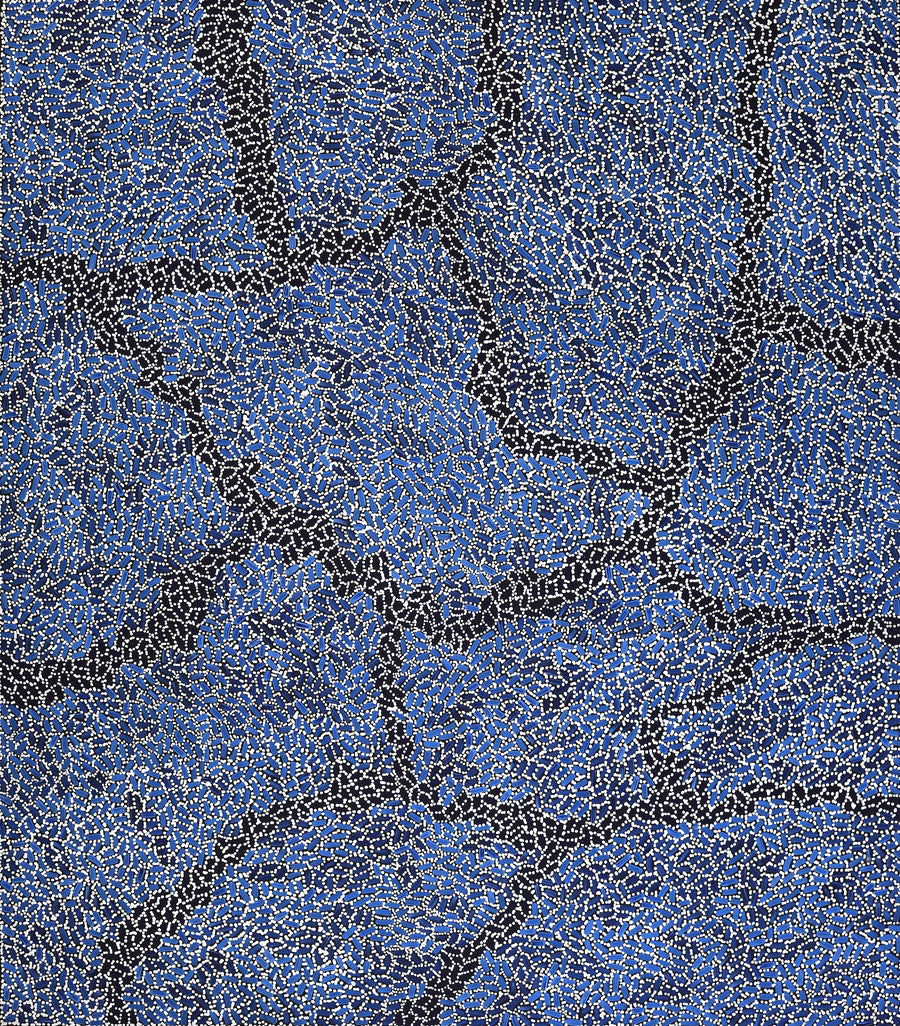 Aboriginal Artwork by Nathania Nangala Granites, Warlukurlangu Jukurrpa (Fire country Dreaming), 122x107cm