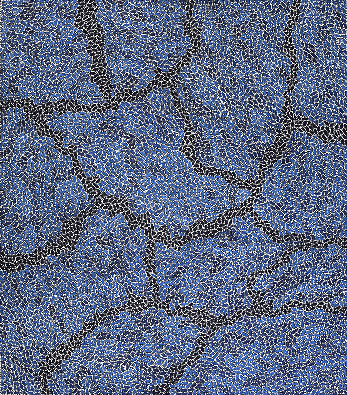 Aboriginal Art by Nathania Nangala Granites, Warlukurlangu Jukurrpa (Fire country Dreaming), 122x107cm - ART ARK®