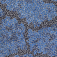 Aboriginal Artwork by Nathania Nangala Granites, Warlukurlangu Jukurrpa (Fire country Dreaming), 122x107cm