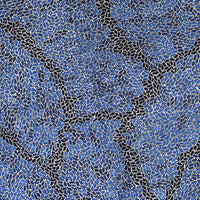 Aboriginal Artwork by Nathania Nangala Granites, Warlukurlangu Jukurrpa (Fire country Dreaming), 122x107cm