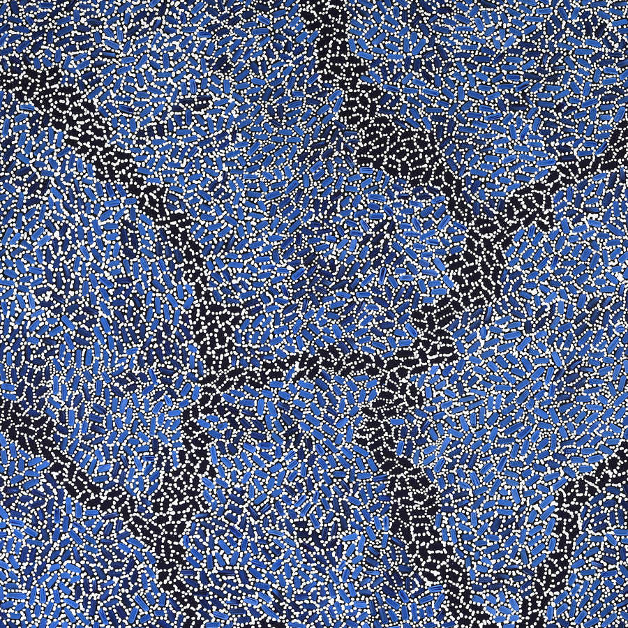 Aboriginal Artwork by Nathania Nangala Granites, Warlukurlangu Jukurrpa (Fire country Dreaming), 122x107cm